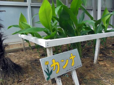 花壇の看板をリニューアルしました！